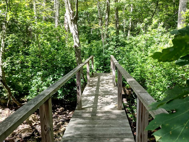 Guided Bird Walk Sakonnet Preservation Association