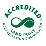 lta-accredited-logo