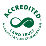 lta-accredited-logo-transparent